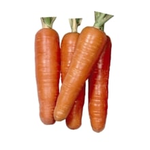 �����ѡ��Ƽ����������պμ���