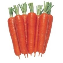 �����ѡ��Ƽ����������պμ���