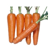 �����ѡ��ռ����������պμ���