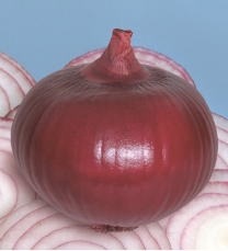 �����åɡ����պμ���