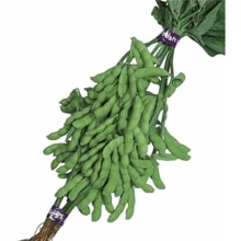 �Ŀ��ߤɤ�����պμ���