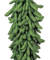 ���벻��������ġ�