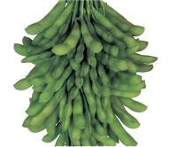 貲���������ġ�