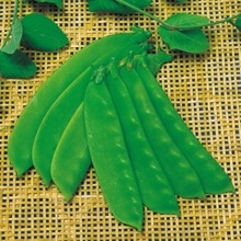 ��������財��渶�μ���