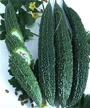 ���꡼��쥤�����֥��ɡʾ��ʼ��ġ�