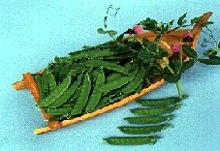 �椦����ʥȥ������ġ�