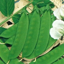 ʼ�˸�財ʥȡ��ۥ���