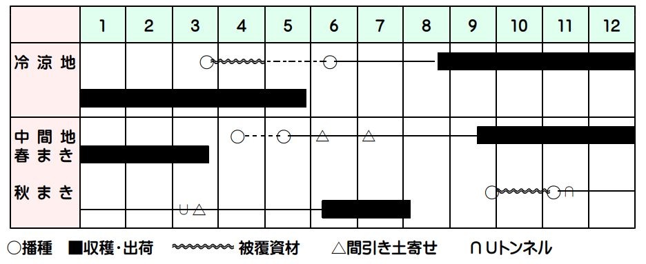 �Σ�����ۥץ饤�ߥ󥰡ʥȡ��ۥ��ˡ�