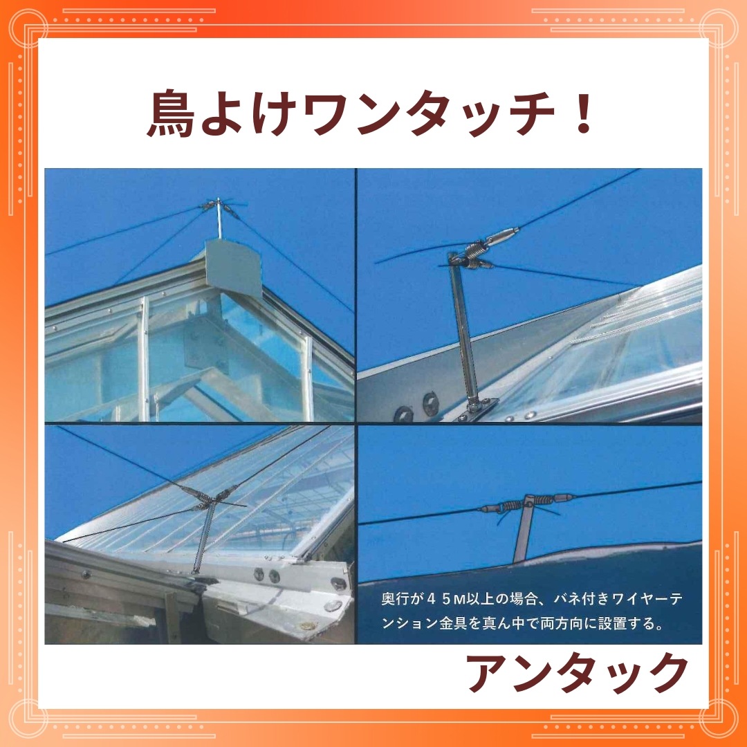 ��Ļ�Ѷ��������ƥ��󥰥磻�䡼��ä���