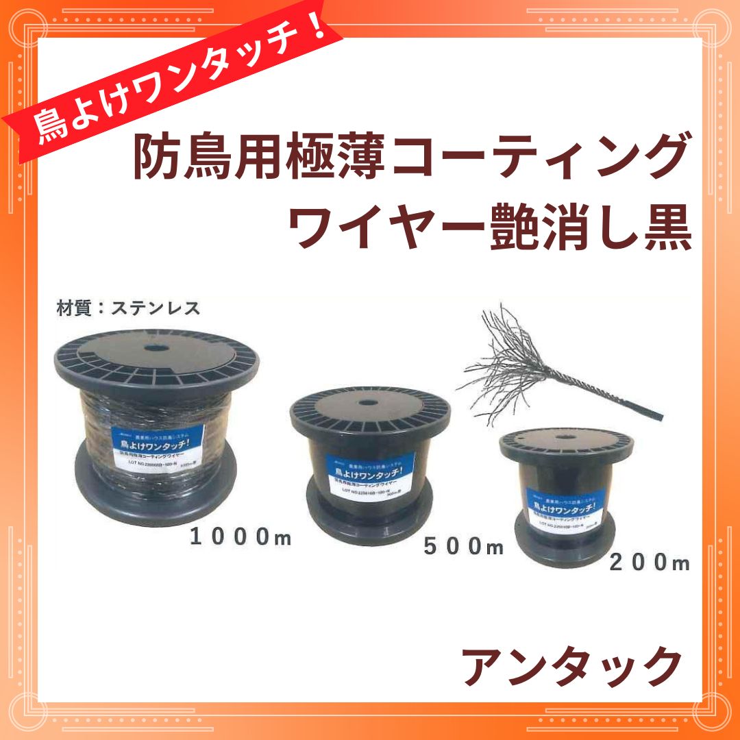 ��Ļ�Ѷ��������ƥ��󥰥磻�䡼��ä���