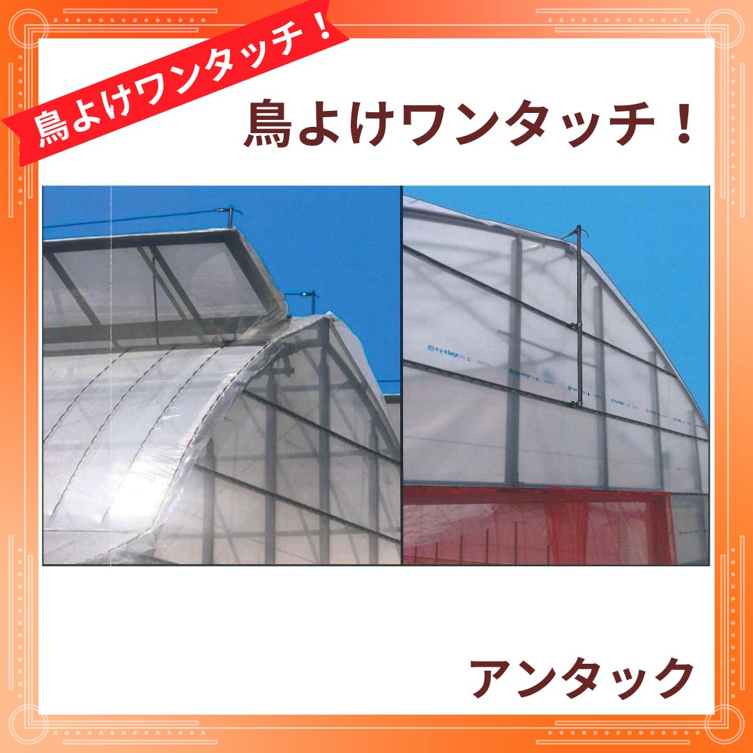 �Х��դ��磻�䡼�ƥ󥷥����(100��499�Ĥޤ�)