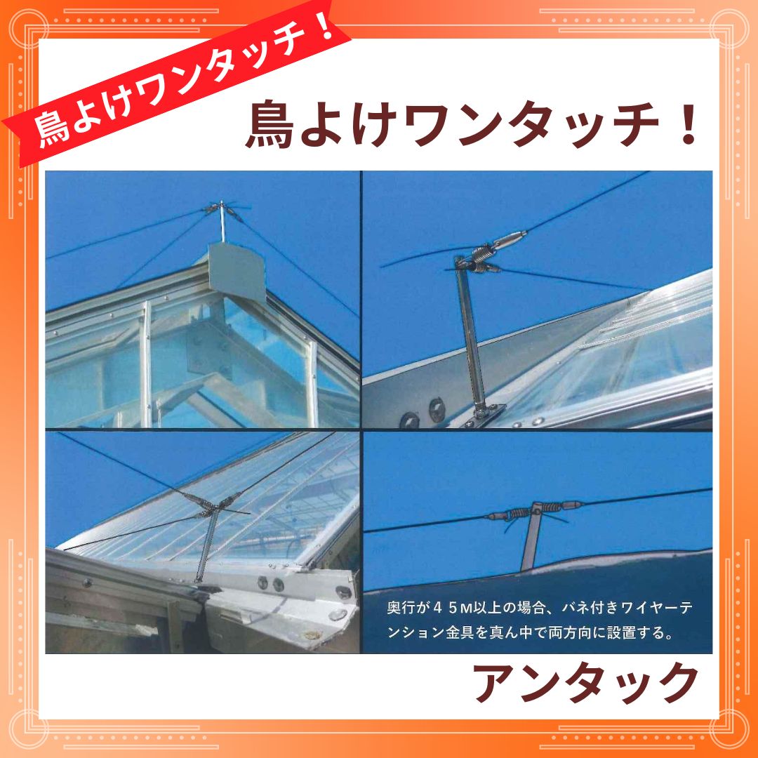 ���ƥ�쥹����ֻ���(1,000�ġ�)