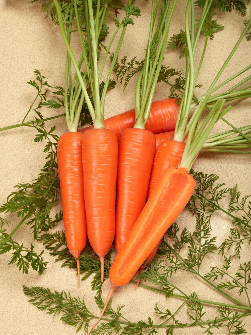 アロマ810（トーホク）＊ | 野菜の種,根菜,ニンジン | アグリブック