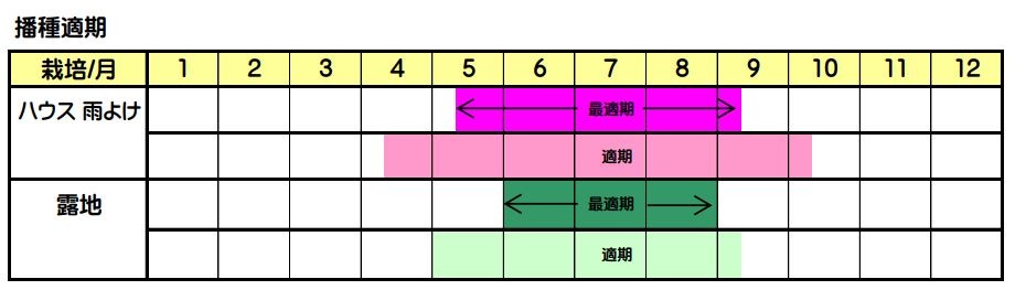 �ʤĤ��ʥȡ��ۥ���