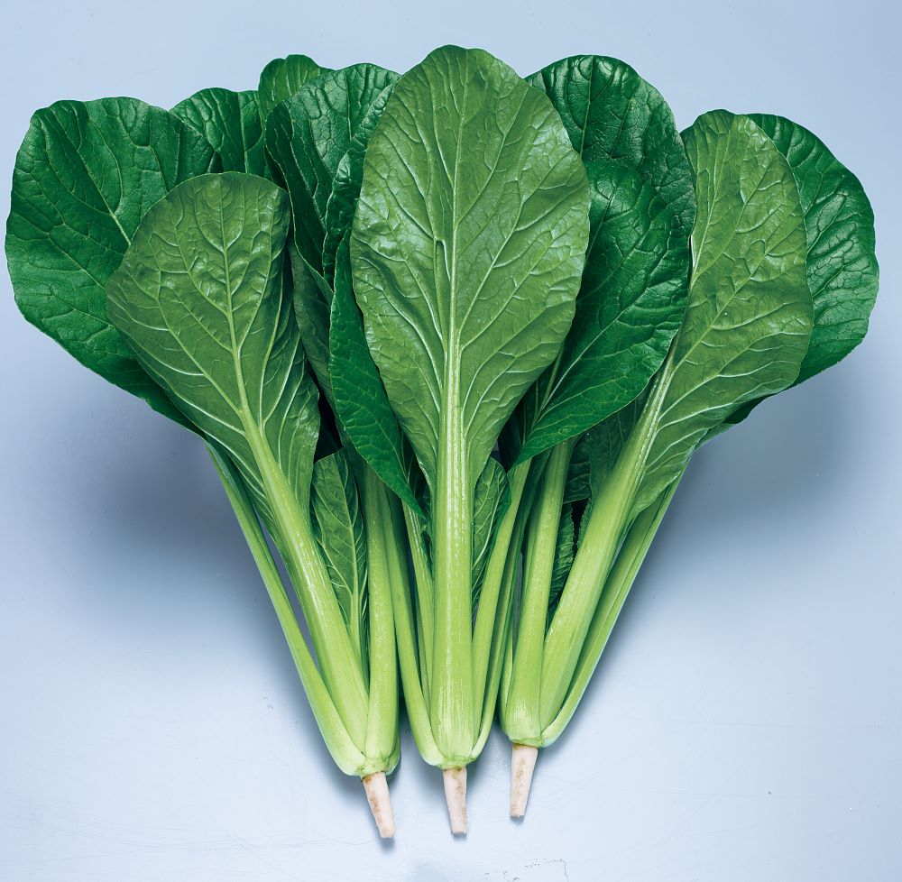 �ʤĤ��ʥȡ��ۥ���