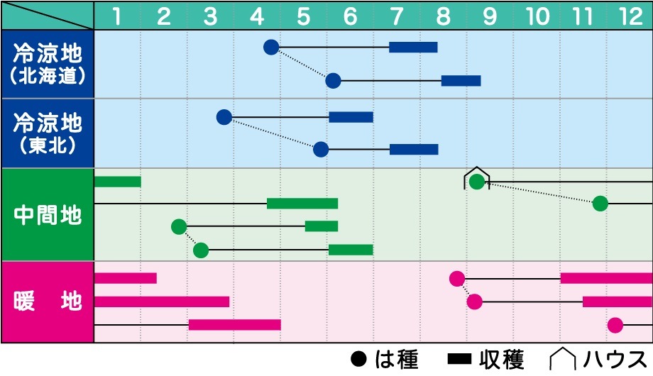 �˥�饵������ʥåסʥ��������ߤ��ɡ�