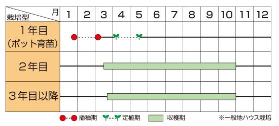 ����餵���ʥ������Υ��͡ˡ�