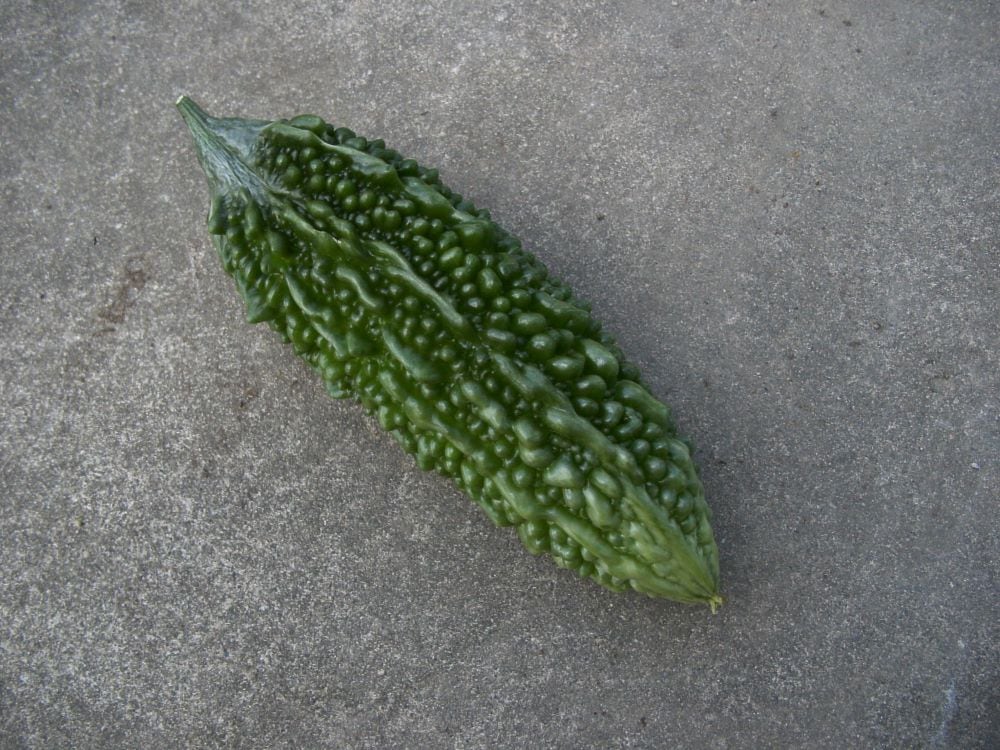 ニガウリ、ゴーヤの種 島心（しまごころ） 1L ( 野菜の種 ) ゴーヤ 種 島心（しまごころ） 1L | 農業屋.com