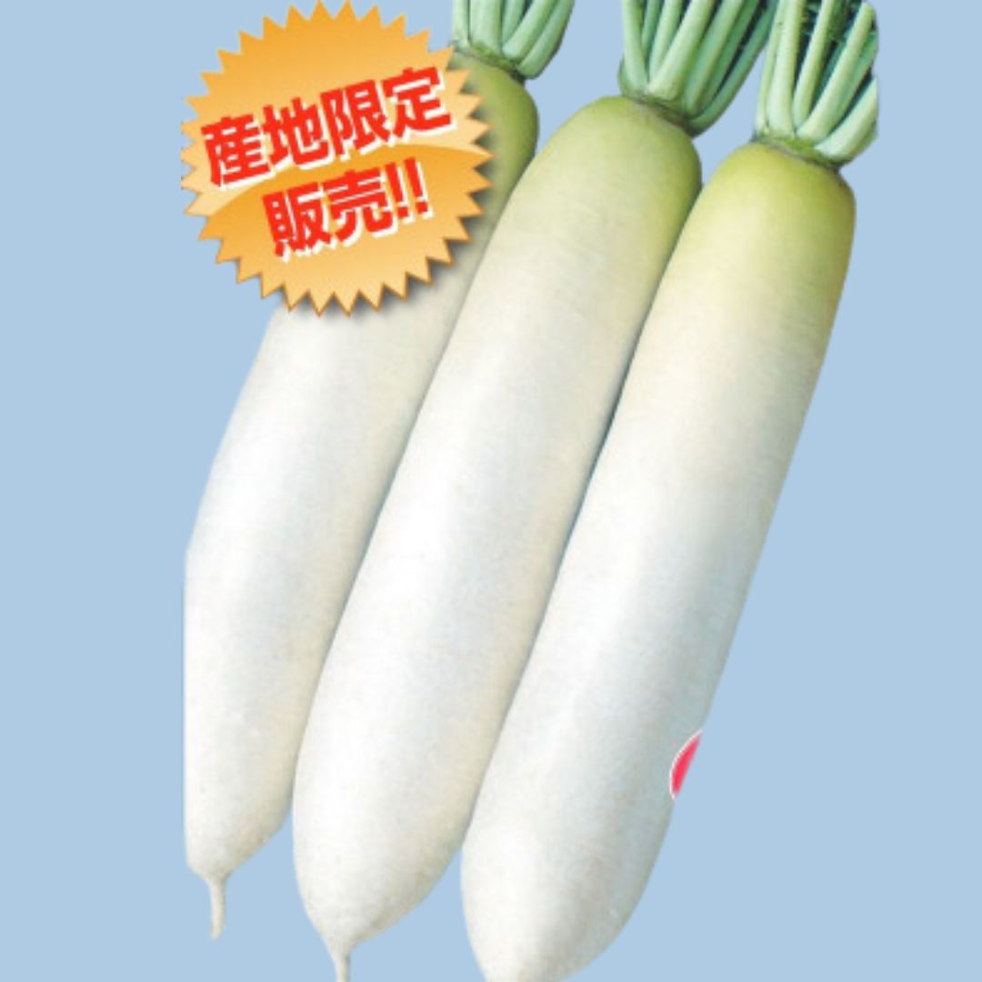 Σҡʥʥȼġˡ