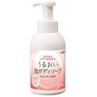 ����� ���뤪��ˢ�ܥǥ������� 500mL ˢ�ݥ���� 51284
