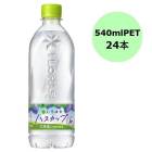 ������������ ���������ϡ��� �ϥ����å�(�̳�ƻ����) 540mlPET��24��