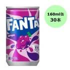 �ڥ���������ۥ����������� �ե��� ���졼�� 160ml�̡�30����