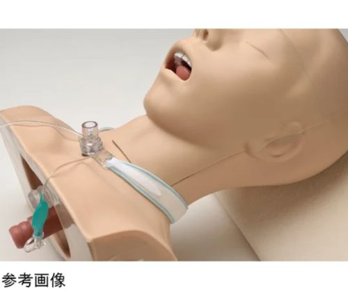 高研 コーケンカニューレホルダー スタンダード 成人用/小児用 10個入