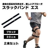 �ں߸ˤ��ꡪ��Gililita ����꥿ SLACK BAND S(����å��Х�� ����) �֥�å� 30cm 2�ܥ��å� SBS-001