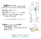 �ں߸ˤ��ꡪ�ۥ���꥿ �δ��ȥ졼�˥� SLACK RAIL T(����å��졼�� �ƥ���) ��å� 1���� SR-203 �δ� �Х�� �ȥ졼�˥� ��ϥӥ� ž��ͽ��
