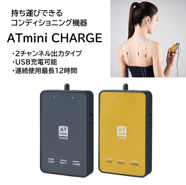 ��P5�ܡ۰�ƣĶû�� ����ǥ�����˥󥰵��� ATmini CHARGE 2�����ͥ���ϥ�����
