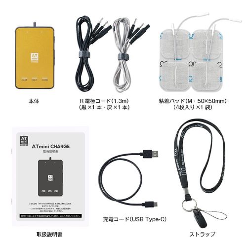 ��P5�ܡ۰�ƣĶû�� ����ǥ�����˥󥰵��� ATmini CHARGE 2�����ͥ���ϥ�����