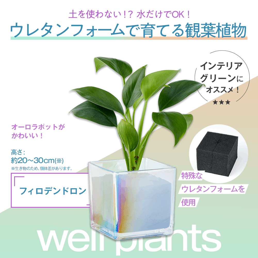 追加商品画像