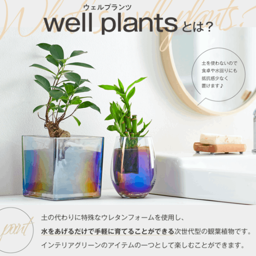 追加商品画像