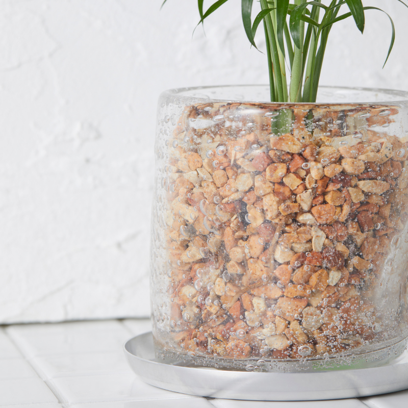 well plants ゼオライト テーブルヤシ ナロークリアー(穴あき鉢／受皿付き)