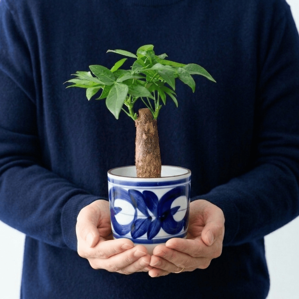 植器 HASAMI-made 波佐見焼で作られた磁器鉢 ＜廻り花青 100mm＞