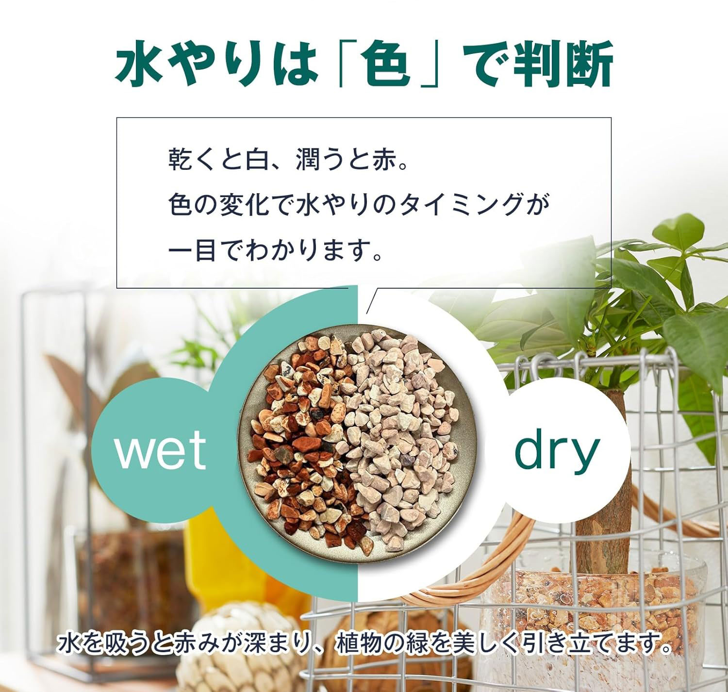 焼成済み国産天然ゼオライト0.5L