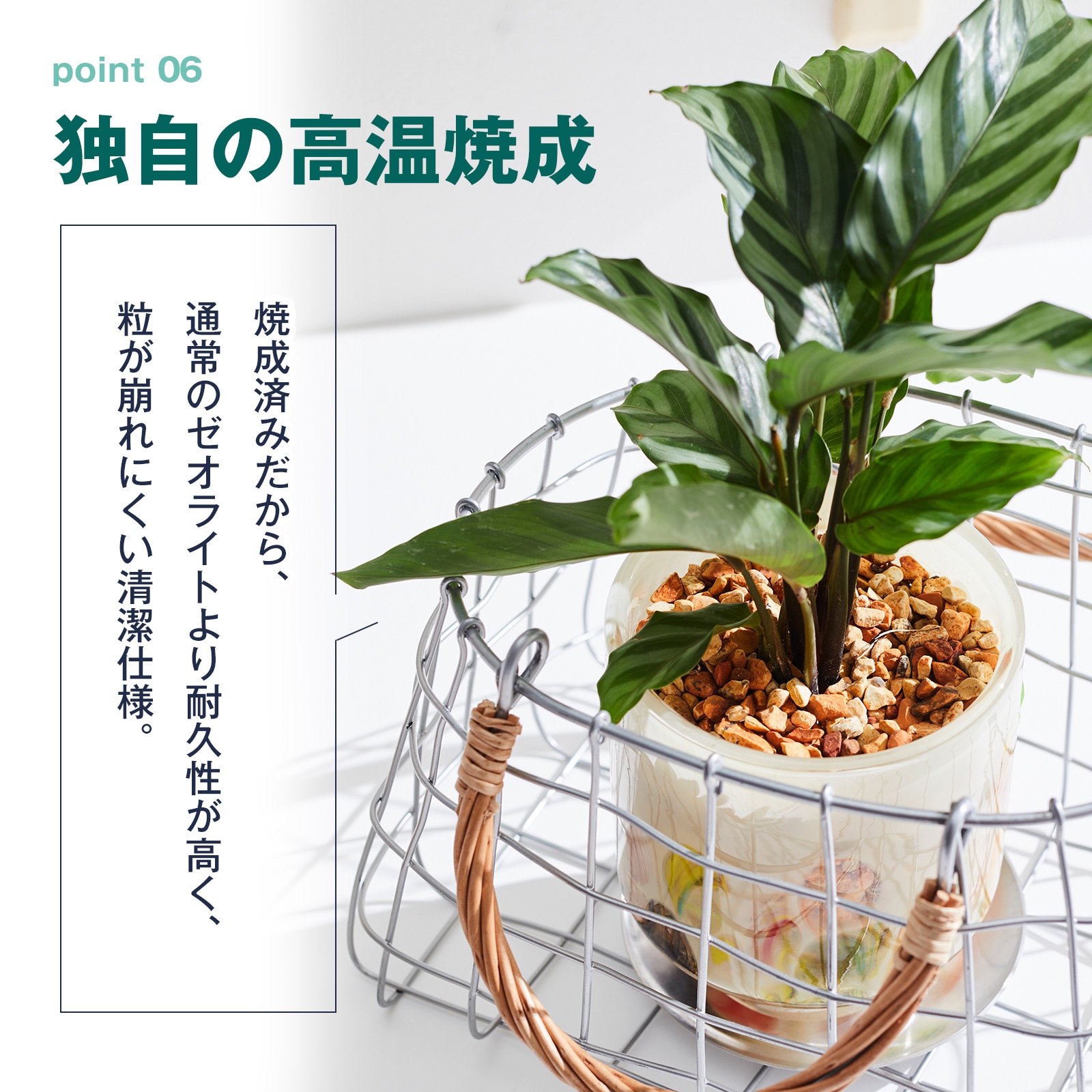 高温焼成済み国産天然ゼオライト0.5L
