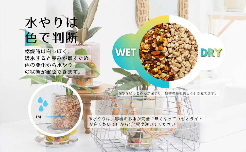 水やりは色で判断