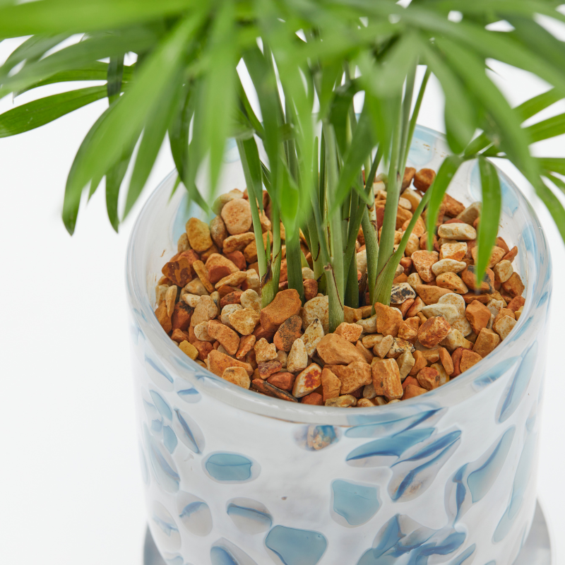 well plants ゼオライト テーブルヤシ ステップホワイトBP(穴あき鉢／受皿付き)