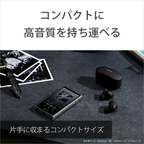 SONY Walkman NW-A307(B) ソニー ウォークマン A300シリーズ 64GB
