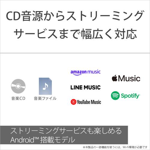 SONY Walkman NW-A307(B) ソニー ウォークマン A300シリーズ 64GB（ブラック）