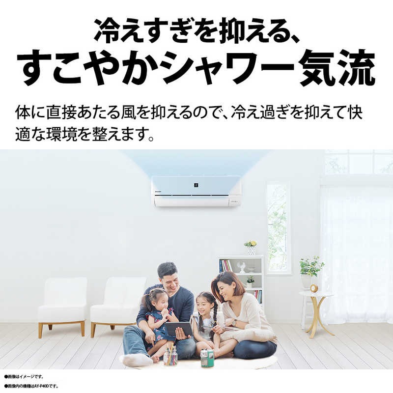 SHARP ルームエアコン P-Nシリーズ 主に10畳用 AY-P28N-W