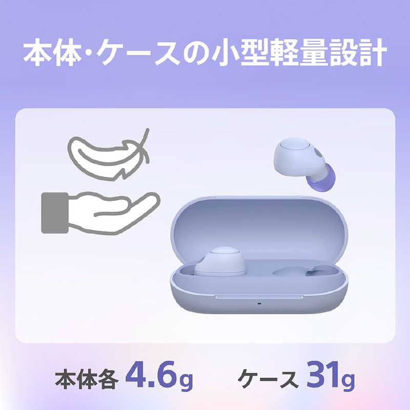 ソニー 完全ワイヤレスイヤホン WF-C700N :高性能ノイズキャンセリング搭載/軽量・小型設計/音質アップスケール機能搭載/連続音楽再生時間最長 7.5時間/IPX4防滴性能/急速充電対応/クリアな通話性能/マルチポイント対応 ブラック