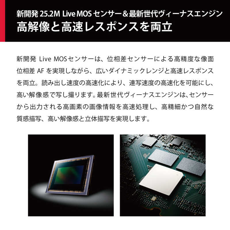 Panasonic LUMIX パナソニック デジタル一眼カメラ／ボディ ルミックス Gシリーズ ブラック DC-G9M2 像面位相差AF 新世代ヴィーナスエンジン 25.2M Live MOSセンサー マイクロフォーサーズ 高解像 高精度 超高速連写 手ブレ補正