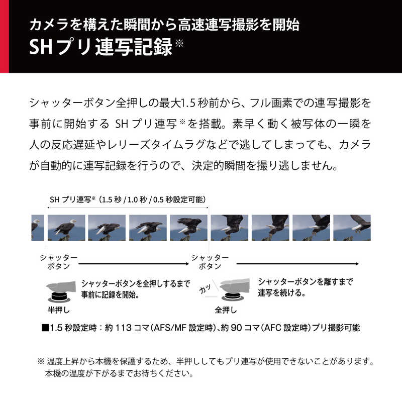 Panasonic LUMIX パナソニック デジタル一眼カメラ／ボディ ルミックス Gシリーズ ブラック DC-G9M2 像面位相差AF 新世代ヴィーナスエンジン 25.2M Live MOSセンサー マイクロフォーサーズ 高解像 高精度 超高速連写 手ブレ補正