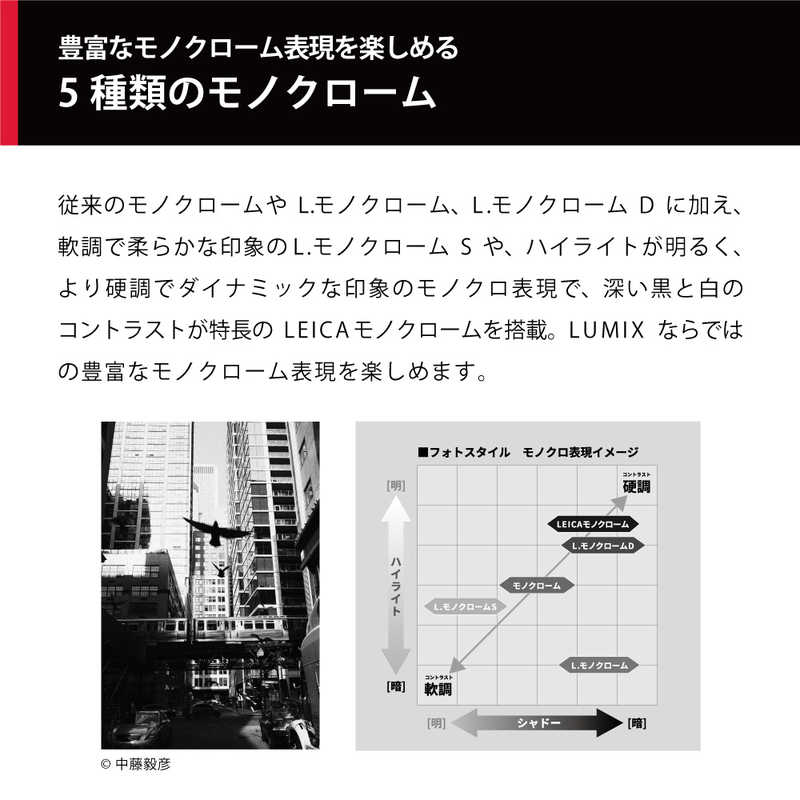 Panasonic LUMIX パナソニック デジタル一眼カメラ／ボディ ルミックス Gシリーズ ブラック DC-G9M2 像面位相差AF 新世代ヴィーナスエンジン 25.2M Live MOSセンサー マイクロフォーサーズ 高解像 高精度 超高速連写 手ブレ補正