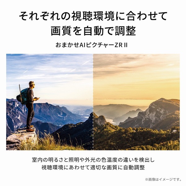 TOSHIBA 東芝  (レグザ) 50V型 50M550L [50V型 地上・BS・110度CSデジタル 4K内蔵 液晶テレビ]