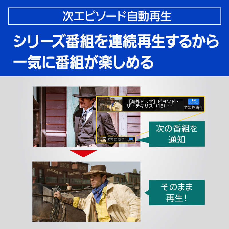 パナソニック Panasonic ブルーレイレコーダー [HDD容量:1TB 1.3倍/1.6倍速再生対応 ドラマ・アニメ1クール自動録画 3番組同時録画モデル 4Kチューナー内蔵ディーガ ] DMR-4T103