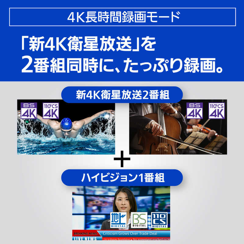 パナソニック Panasonic ブルーレイレコーダー [HDD容量:1TB 1.3倍/1.6倍速再生対応 ドラマ・アニメ1クール自動録画 3番組同時録画モデル 4Kチューナー内蔵ディーガ ] DMR-4T103