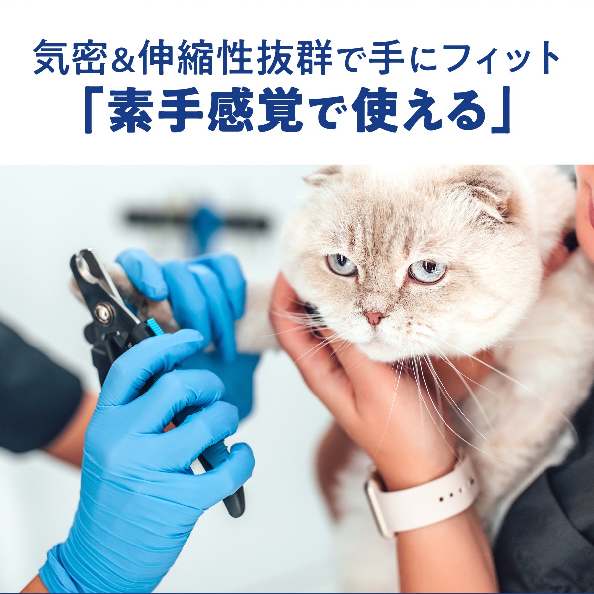 極薄ニトリル手袋 青 100枚入り
